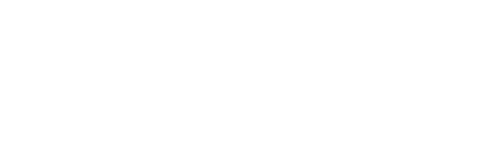 Flinn Solutions